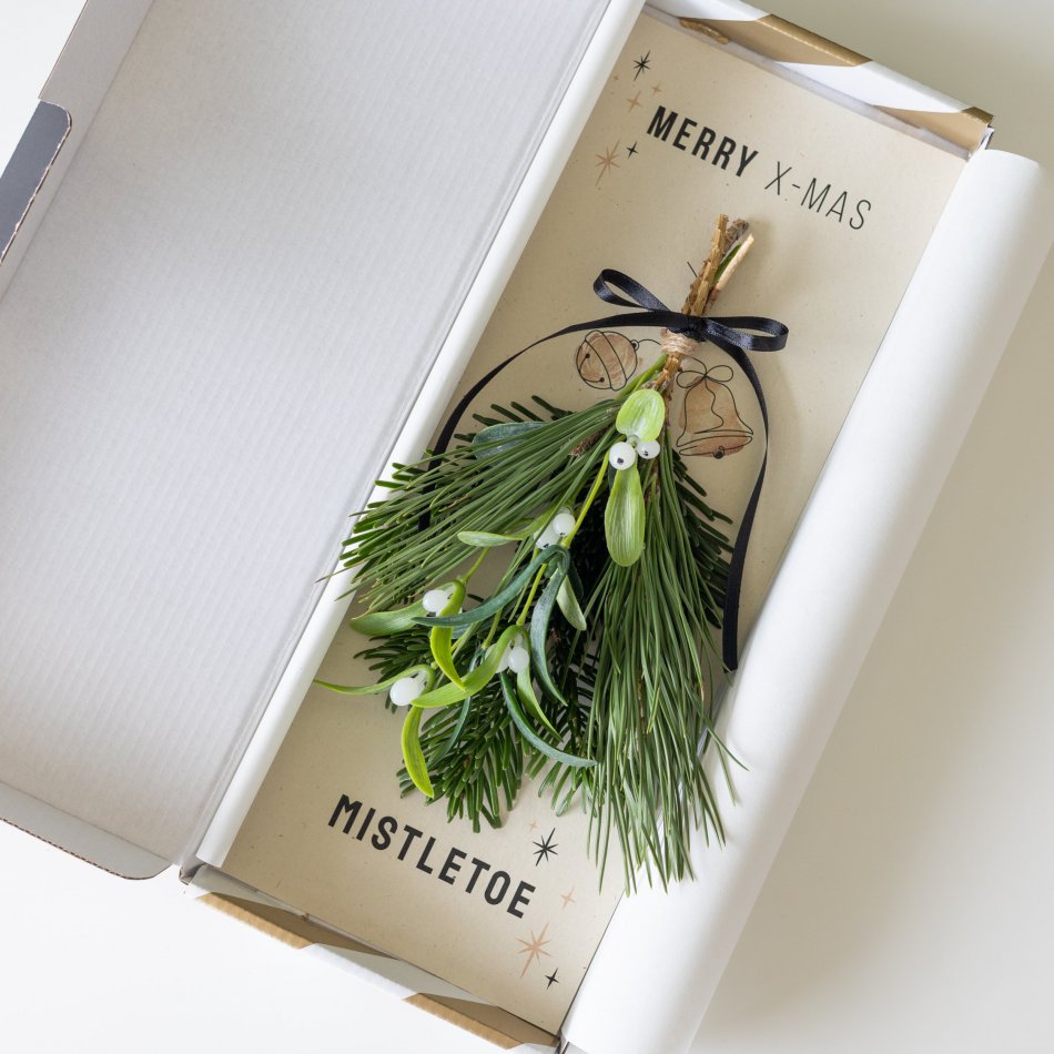 Mistletoe